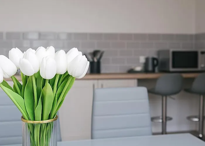 Modern 3 Bed Duplex Apartment Leeds (West Yorkshire)